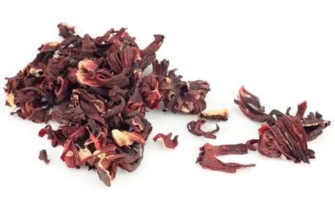 Hibiscus 스톡 사진