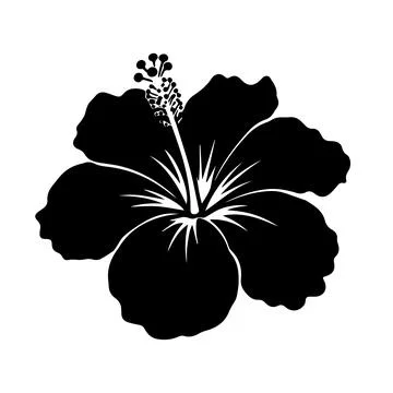 Hibiscus Silhouette Illustrazione stock