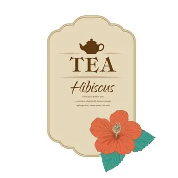 Hibiscus tea. vector illustration. carcade Stock Illustration