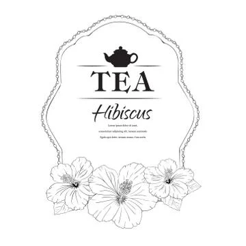 Hibiscus tea. vector illustration. carcade Stock Illustration
