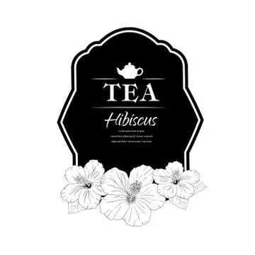 Hibiscus tea. vector illustration. carcade Stock Illustration