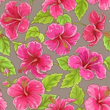 Hibiscus vector pattern Stock Illustration
