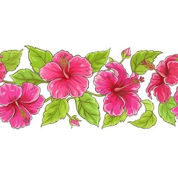 Hibiscus  vector pattern Stock Illustration