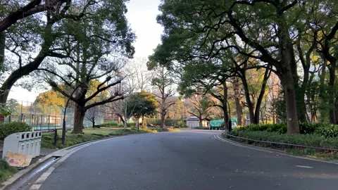 Hibiya Park Video stock 148204443
