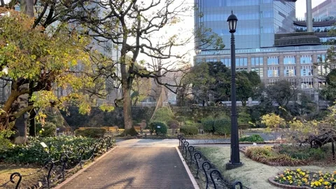 Hibiya Park Stock Footage 148204546