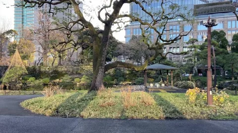 Hibiya Park Stock Footage 148204574