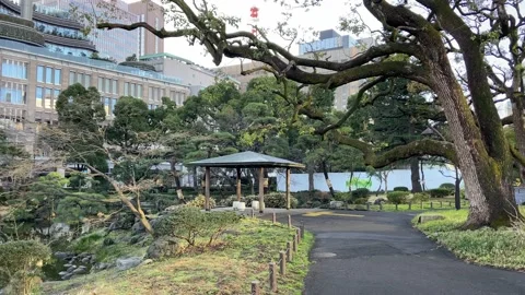 Hibiya Park Video stock 148204609
