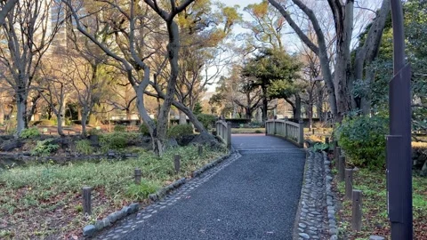 Hibiya Park Video stock 148204775