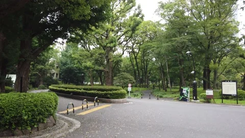 Hibiya park Stock-Footage 148204858