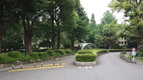 Hibiya park Stock Footage 148204885