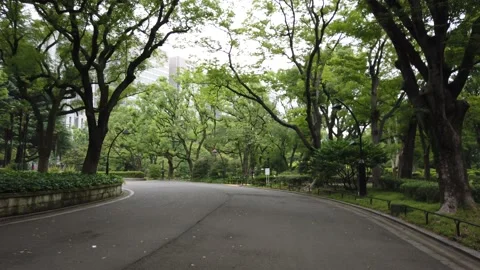 Hibiya park Stock Footage 148205152