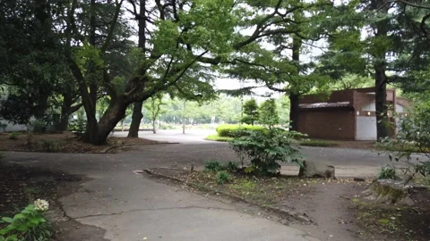 Hibiya park Stock Footage 148205208