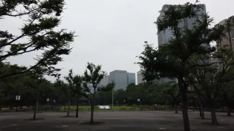 Hibiya park Stock Footage 148205268
