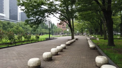 Hibiya park Stock Footage 148205462