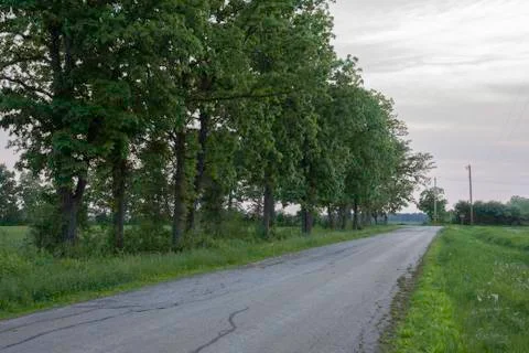 Hickory Road Stock Photos