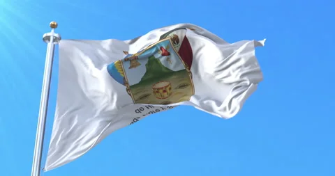 Hidalgo Flag, Mexico. Loop 스톡 동영상 167115040