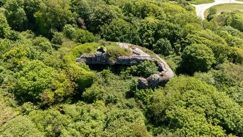 Hidden Atlantic Wall Bunker Surrounded by Forest Stock Photos
