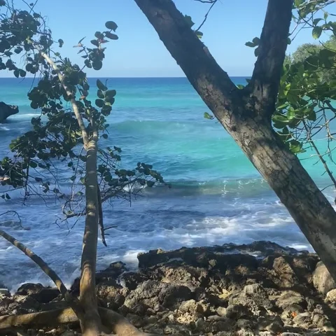 Hidden beach away from public Stock Footage 237971446