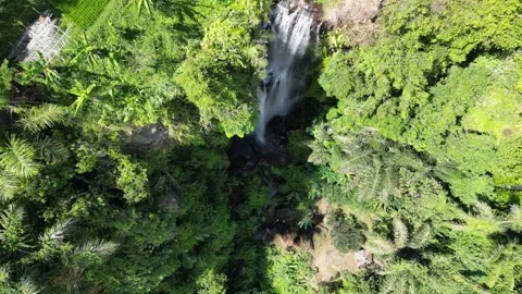 Hidden Beauty: A Gitgit Waterfall Embraced by the Forest 스톡 동영상 310370909
