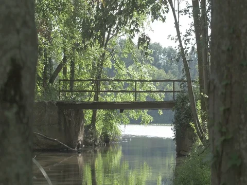 Hidden Bridge Stock Footage 80209339