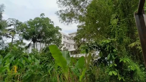 Hidden building Stock Footage 264741559