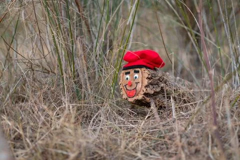 Hidden cagati in the woods catalan tradition for kids Stock Photos