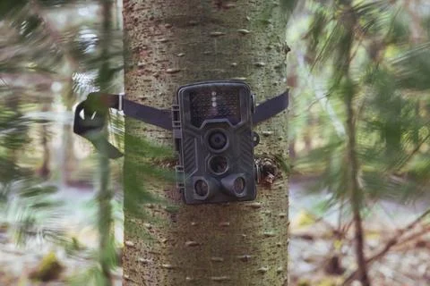 Hidden camera in the forest that turns on when wild animals move Stock Photos