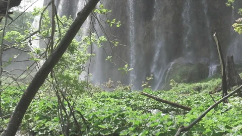 Hidden cascade flowing between forest trees in Plitvice Stock Footage 319779857