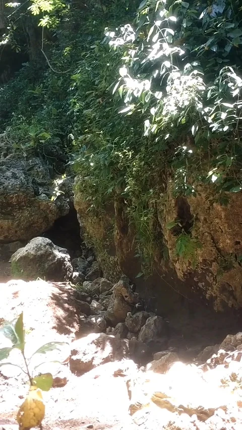 Hidden cave Stock Footage 330274046