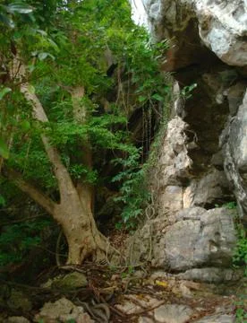 Hidden cave in the middle of the jungle of Phi Phi Don island, Thailand. Stock Photos