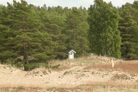 Hidden cottage on an beach Stock Photos