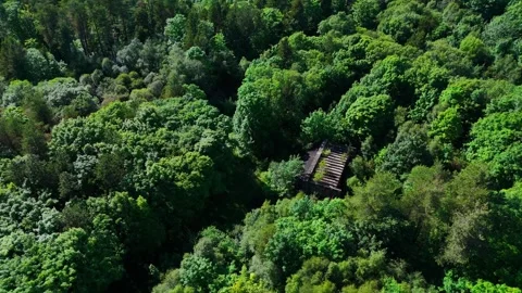 Hidden deep within the green, a rustic wooden cabin sits unseen Video stock 335684732