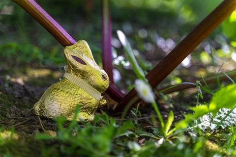 Hidden easter chocolate bunnies waiting to be finding out in the garden Stock Photos