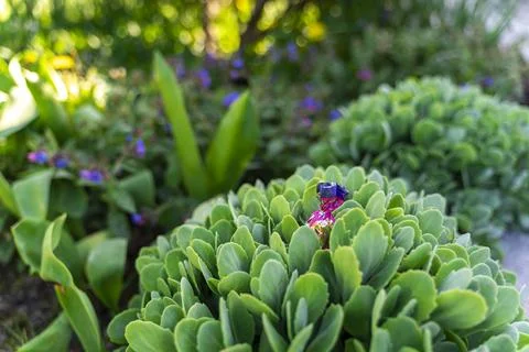 Hidden easter chocolate eggs waiting to be finding out in the garden Stock Photos