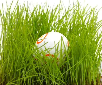 Hidden easter egg Stock Photos