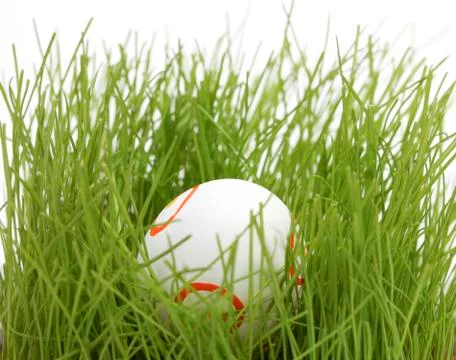 Hidden easter egg Stock Photos