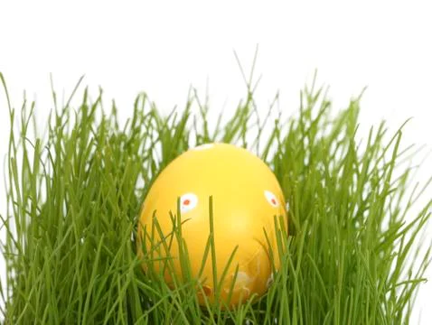 Hidden easter egg Stock Photos