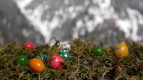 Hidden easter eggs Stock-Footage 73462533