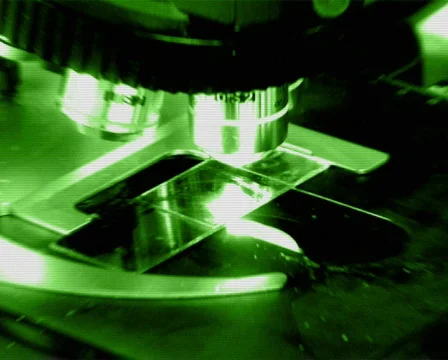 Hidden examination PAL Stock Footage 327349