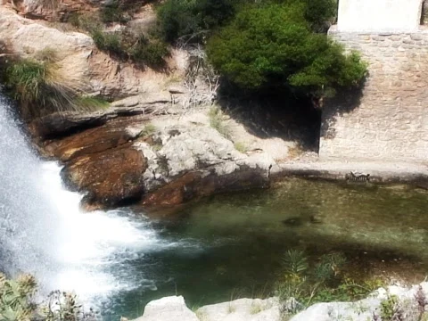 Hidden Falls Video stock 489920