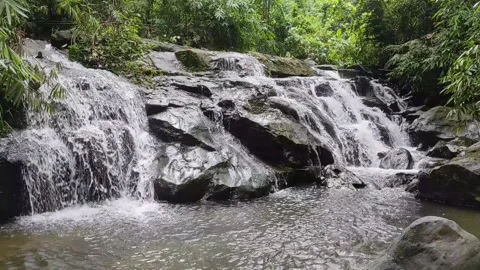 Hidden Falls of the Jungle Stock Footage 266210170