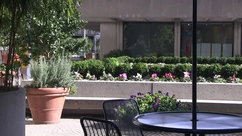 Hidden female emerges Vídeo Stock 77367281