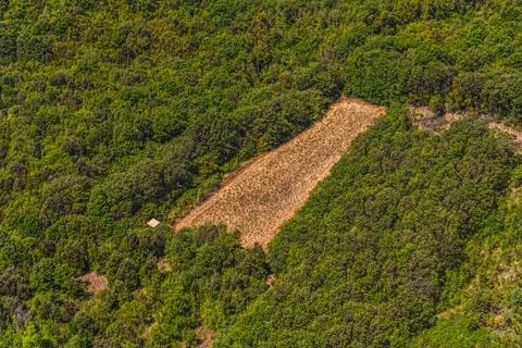 Hidden field Stock Photos