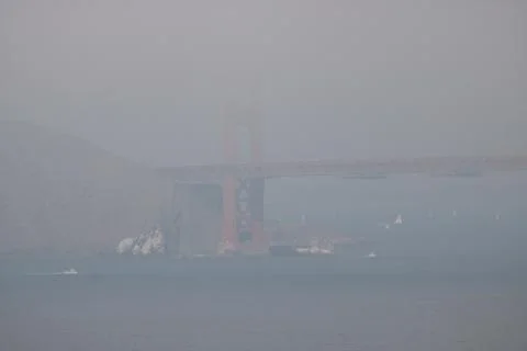 Hidden in the Fog Stock Photos