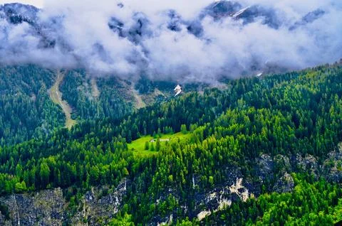 Hidden Forest Clearing with Small Cabin Stock Photos