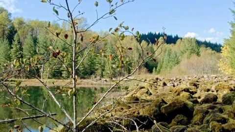 Hidden forest lake in fall McKenzie River Valley Oregon 46 Stock Footage 81715617