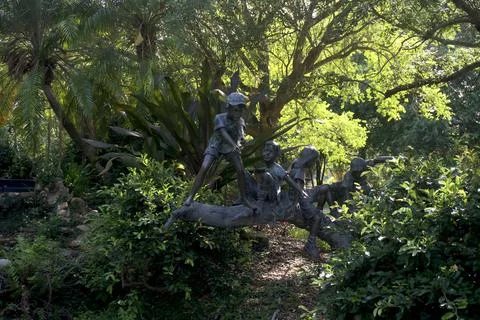 Hidden Forest Stream 스톡 사진