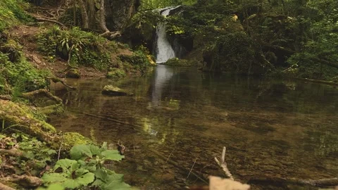 Hidden Forest Waterfall with Clear Reflective Pool Stock Footage 314223724