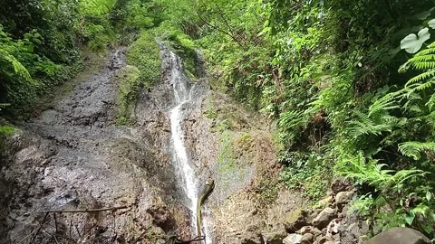 Hidden Forest Waterfall Flowing Between Rocks Stock Footage 330591481