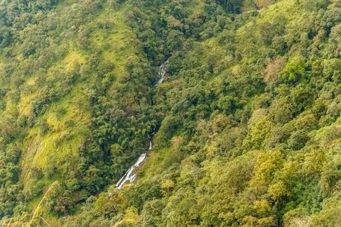 Hidden Forest Waterfall Flowing Through Dense Green Canopy in Kerala Stock Photos